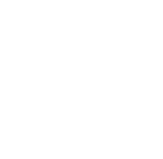 github logo white version